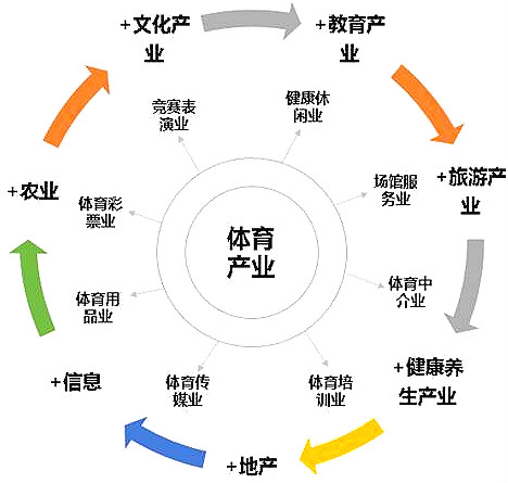 體育行業(yè)和產(chǎn)業(yè) 體育行業(yè)和產(chǎn)業(yè)